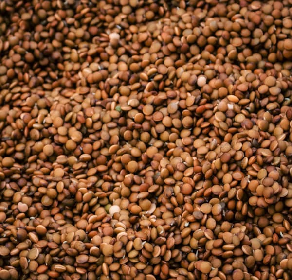 Raw brown lentils and pulses in bulk for export