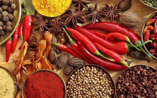 Colorful Indian spices — red chili, turmeric, coriander, star anise for export